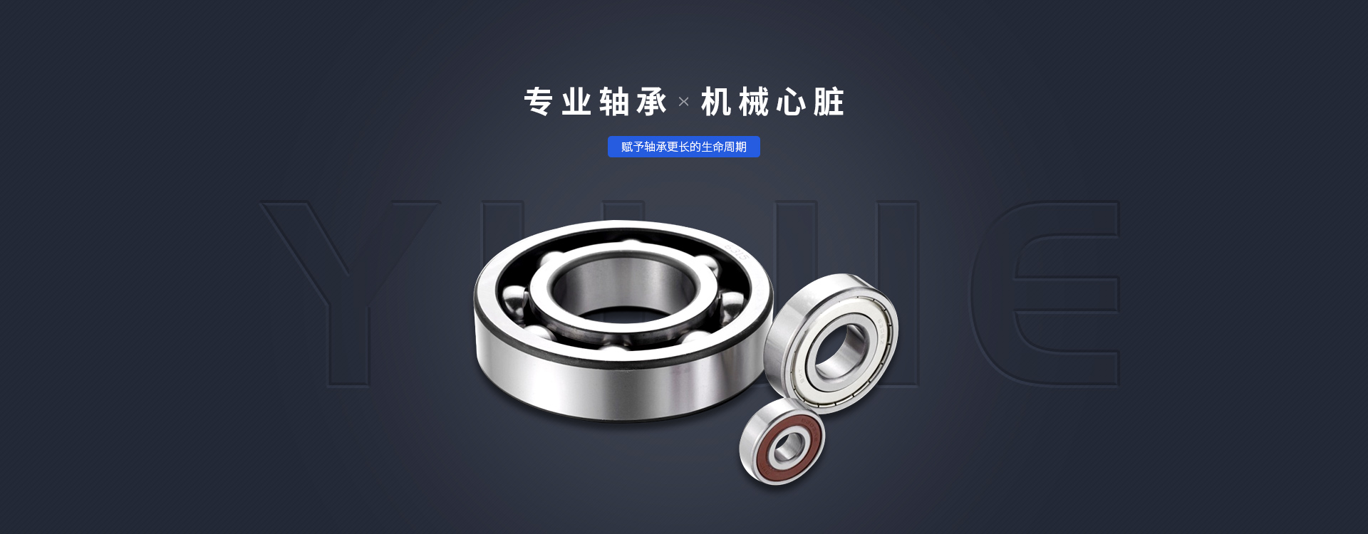 陝(shan)西SKF軸承(cheng)